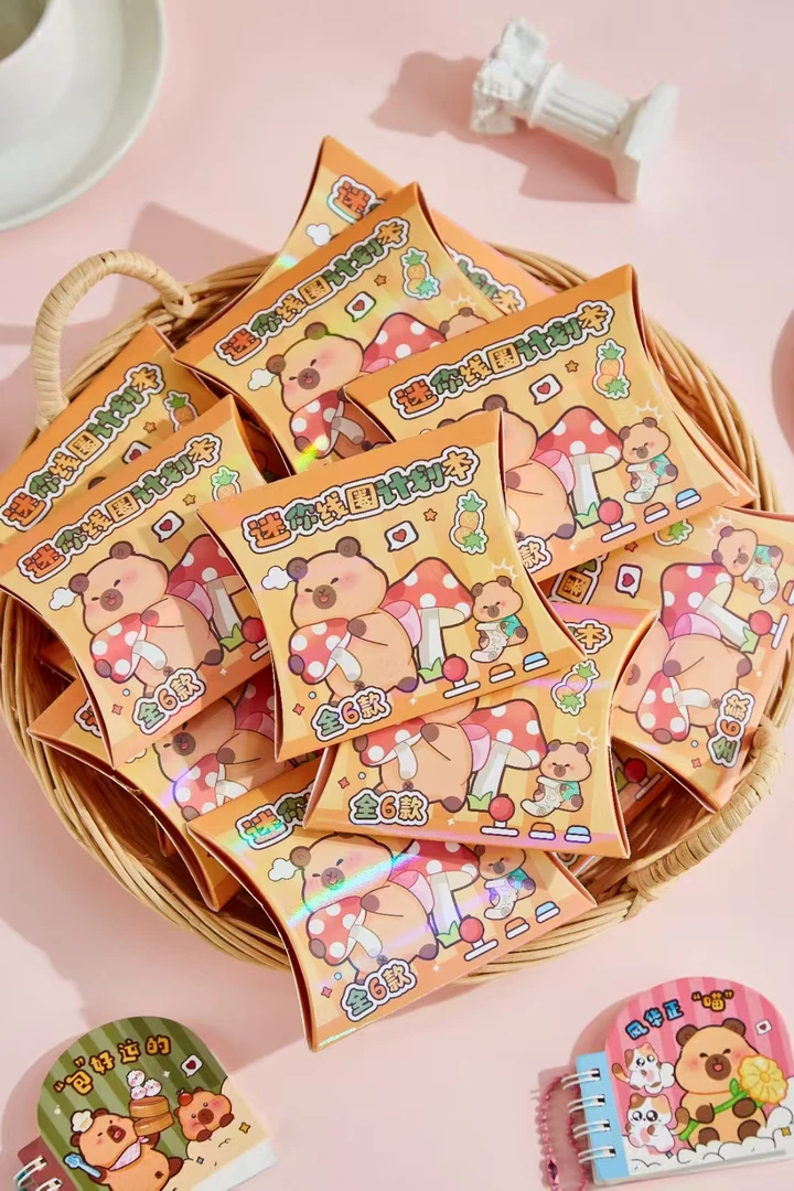 【到手2中共48个】636迷你线圈计划本文具套装