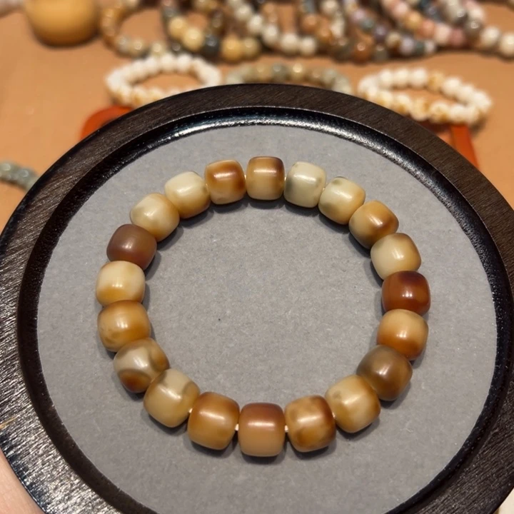 吊坠菩提根/象牙果黄昏，微瑕，12