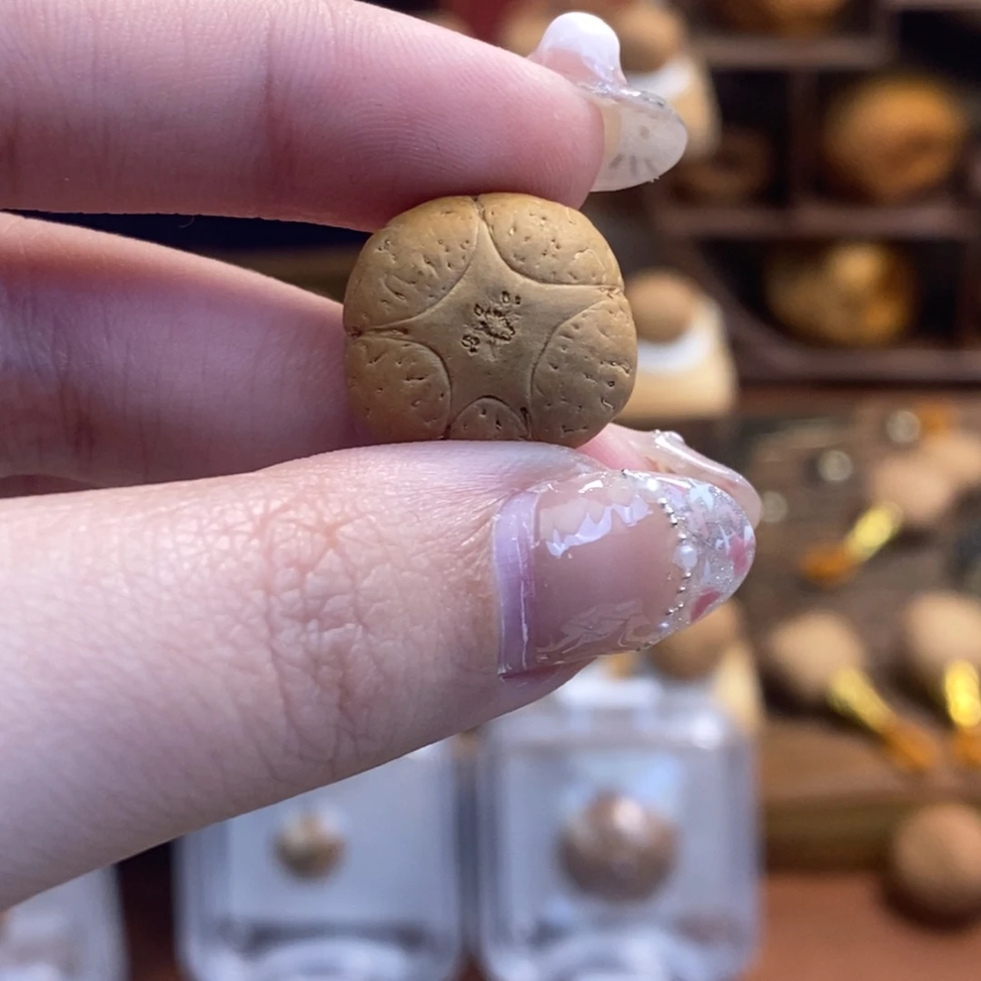 吊坠凤眼菩提五星单颗