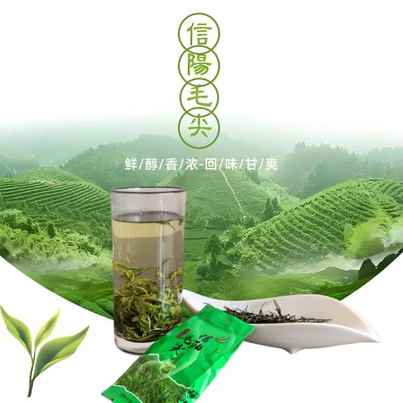 信阳毛尖2025新茶欧标茶口粮茶雨前浓香型高山绿茶信阳毛尖茶叶