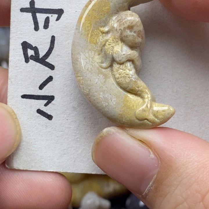 硅化珊瑚（珊瑚玉）未镶嵌颈饰