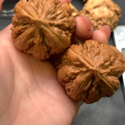 文玩核桃吊坠霸王