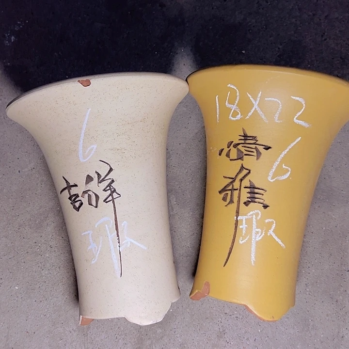 周深周深周深周深