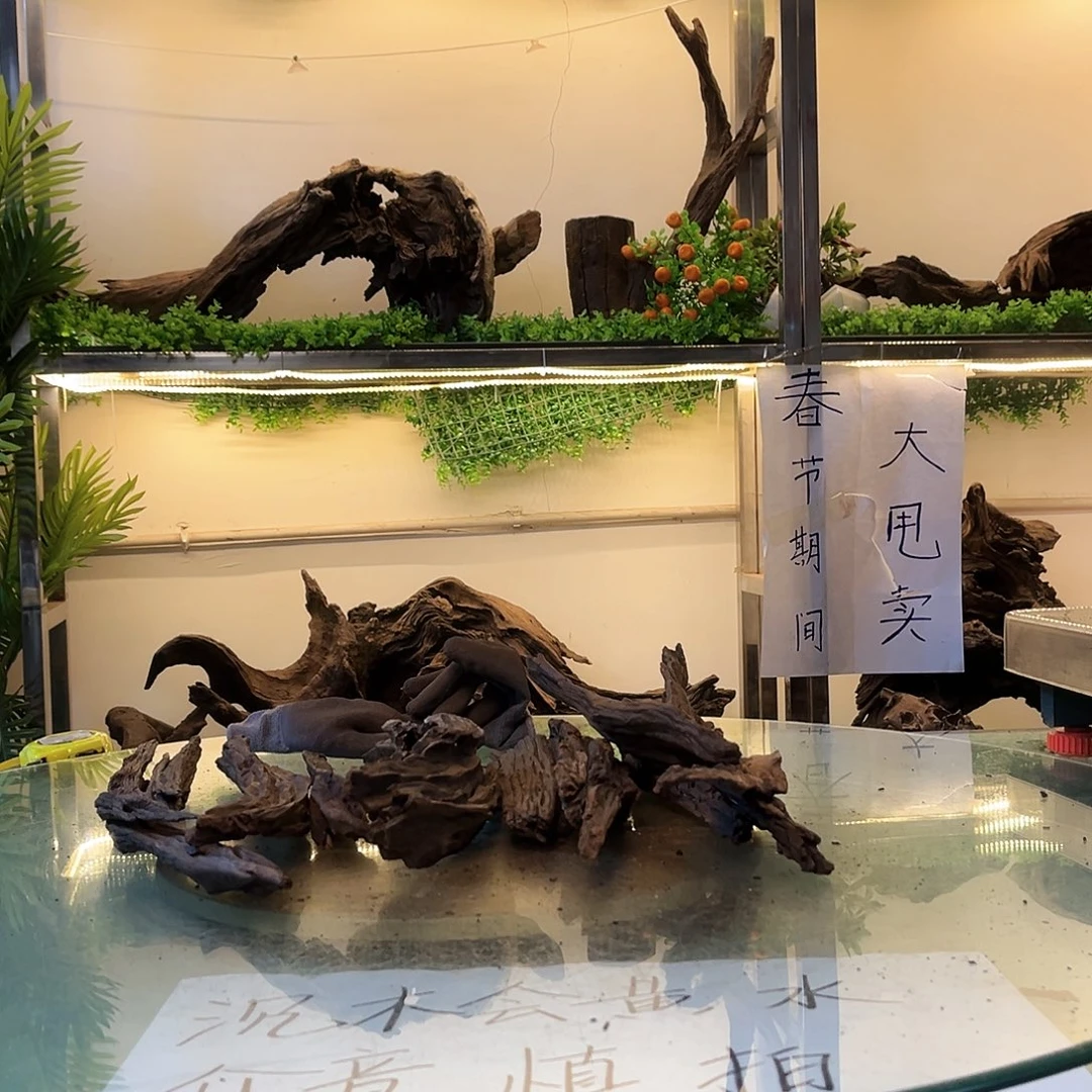 柚木沉木鱼缸造景