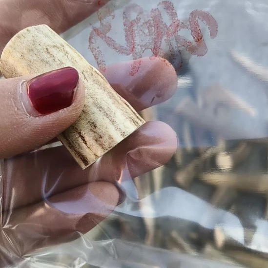3***4鹿角鹿角鹿角鹿角鹿角鹿角