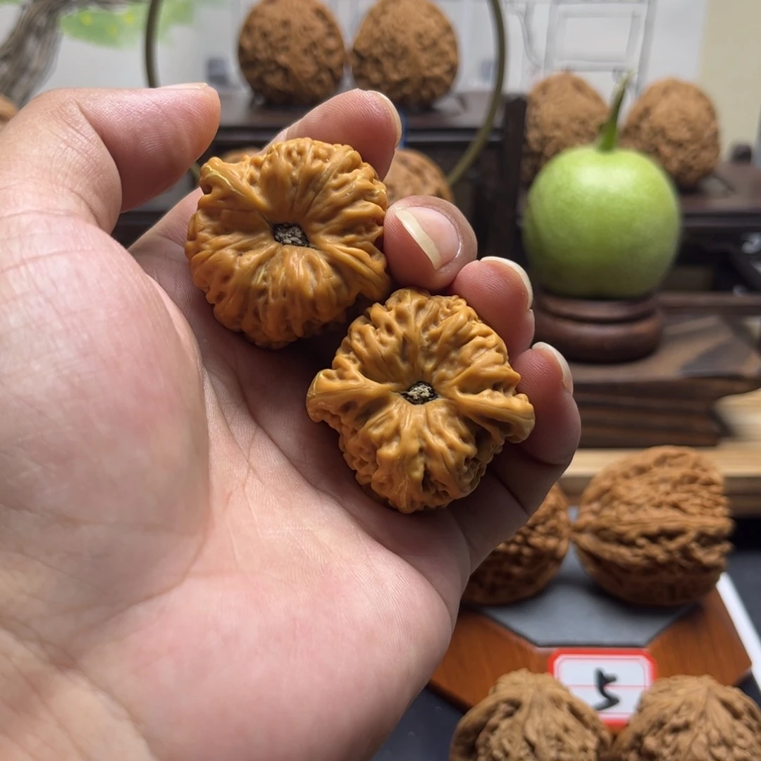 正宗涿鹿南疆黄金甲