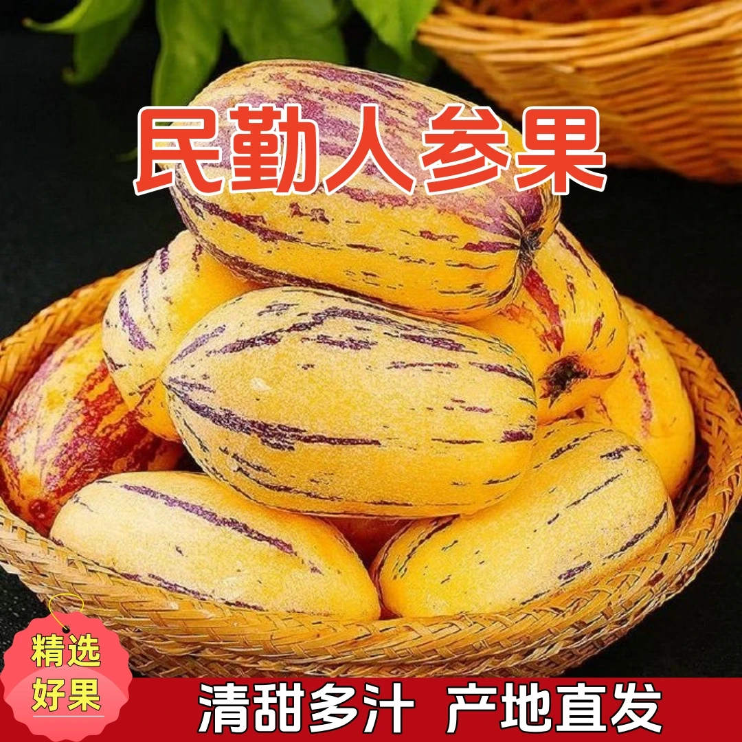 【自然树熟】甘肃民勤沙漠人参果清甜多汁产地直发纯白果包赔