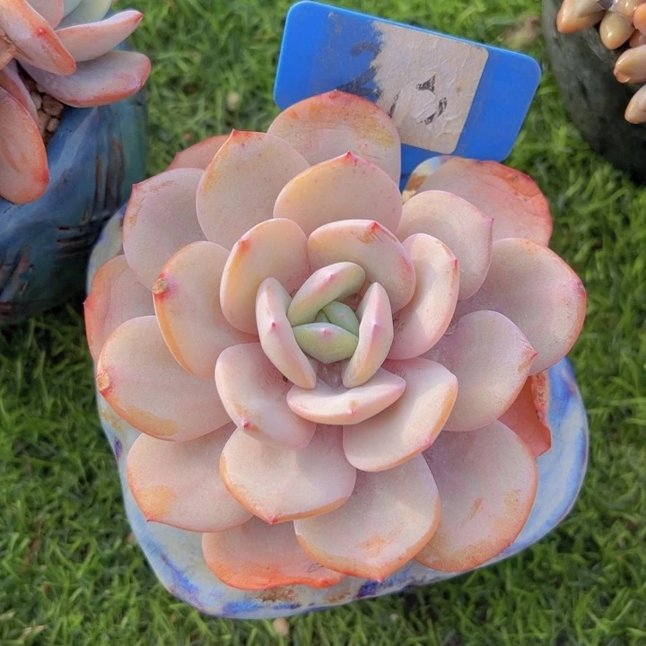 健健康康平平安安