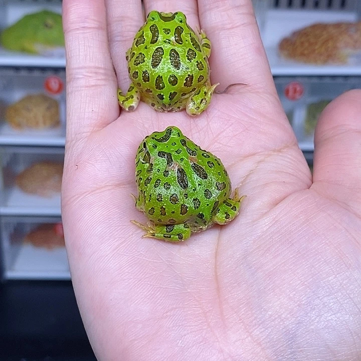特价秒杀特价原价残