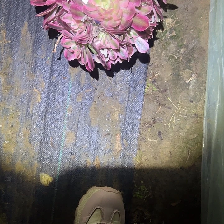 法师链接不售后136