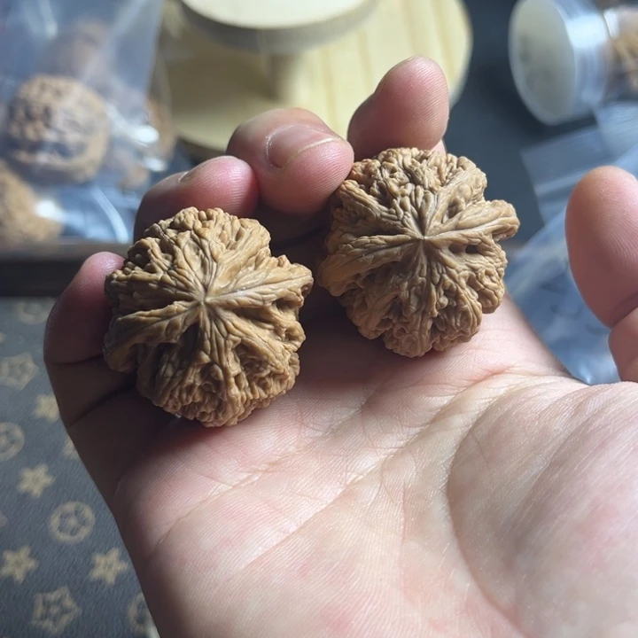 吊坠桃核全品大粗筋