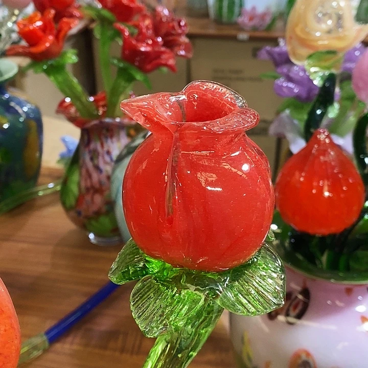 玫瑰花高45厘米左右