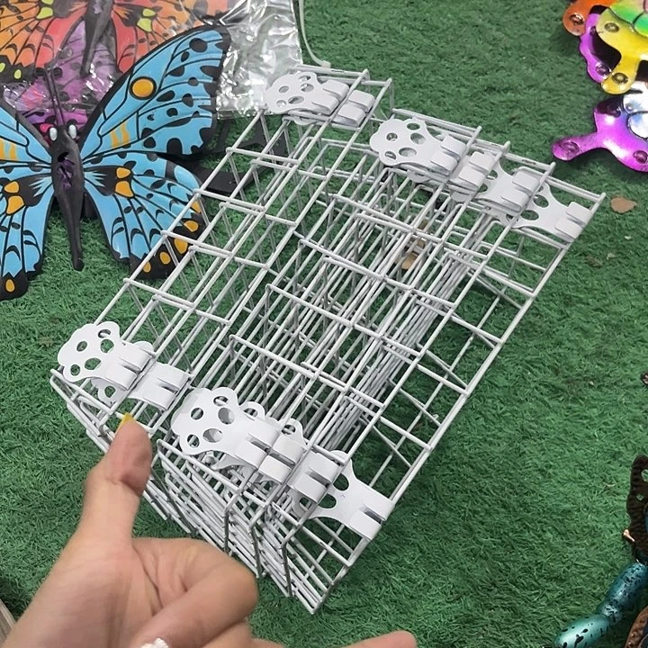 炸炸炸炸炸炸炸给力