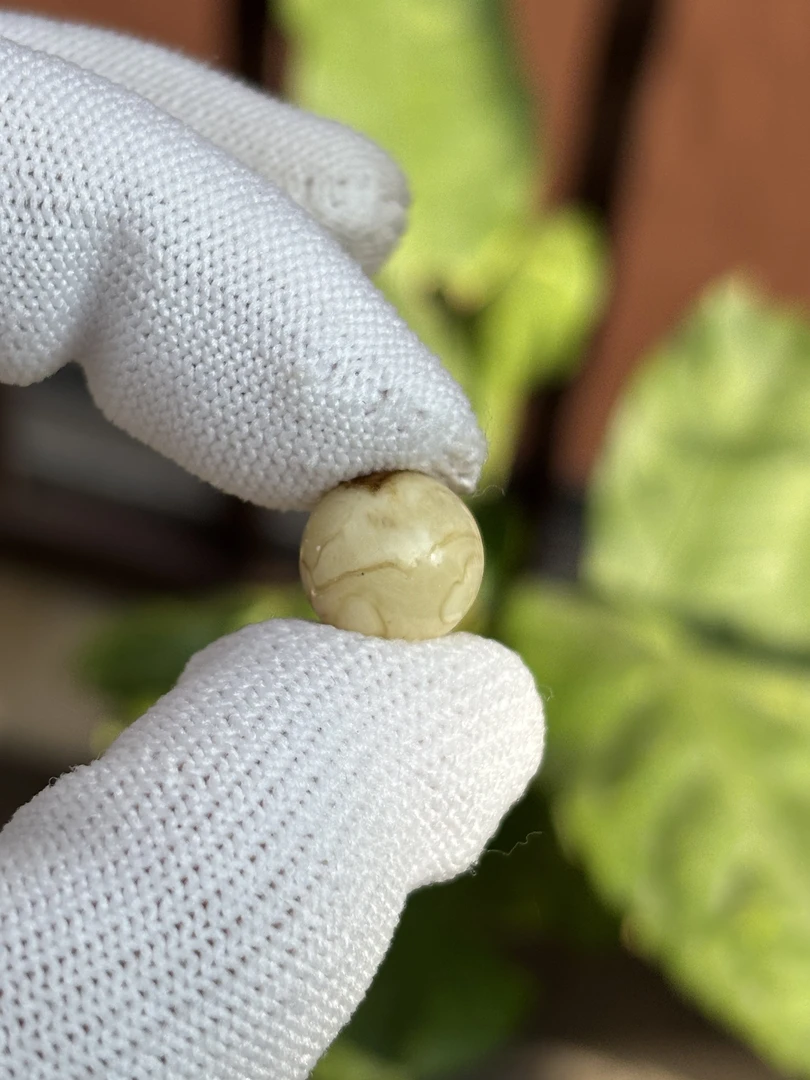 5012天然蜜蜡琥珀圆珠11.4mm