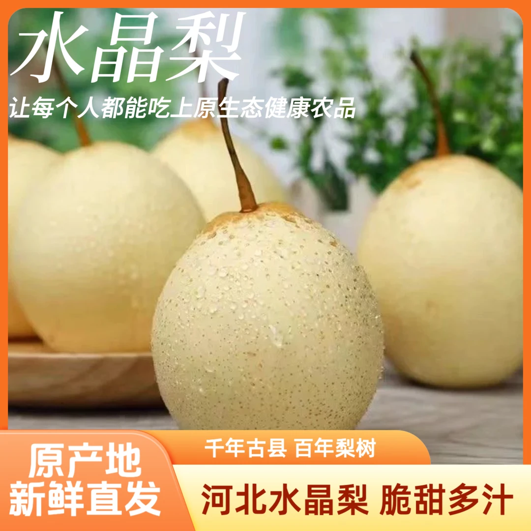 【水晶鸭梨香甜可口】河北正宗水晶鸭梨酥脆多汁可口皮薄多汁苹果梨