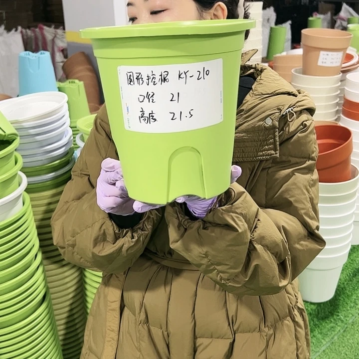 正品圆控口21高21果绿8只无托