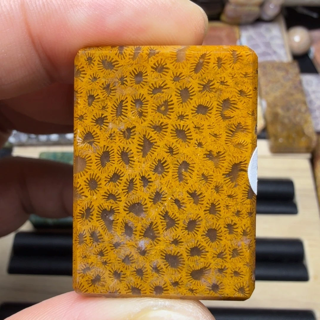 硅化玉未镶嵌纯天然色有机玉石保真色哇塞