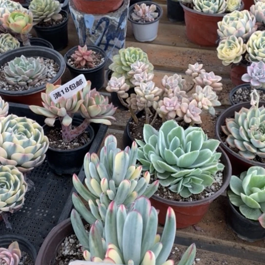 175一一一一一一一一一