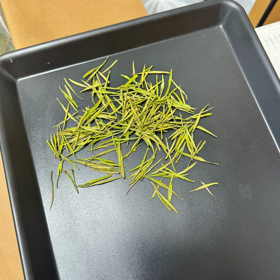 【特白兰香口粮】2025年新茶春季核心产区高山安吉白茶
