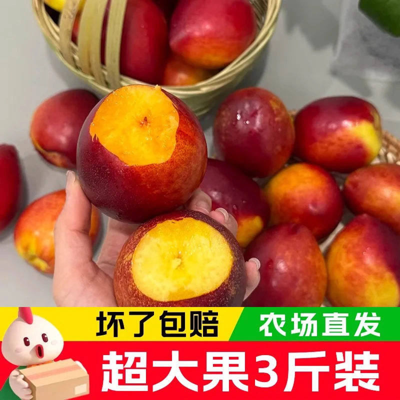 黄心油桃3-5斤新鲜水果应季当季水蜜脆桃精选黄肉超甜一整箱包邮