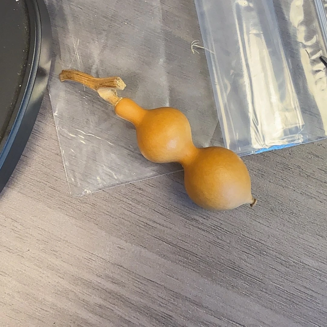 S***D木这个时候应该可以