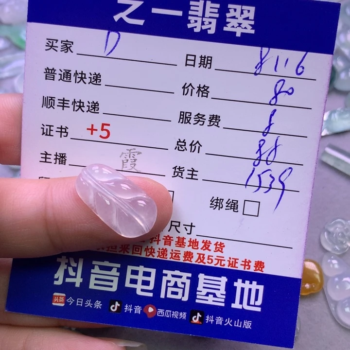 翡翠未镶嵌颈饰D****y