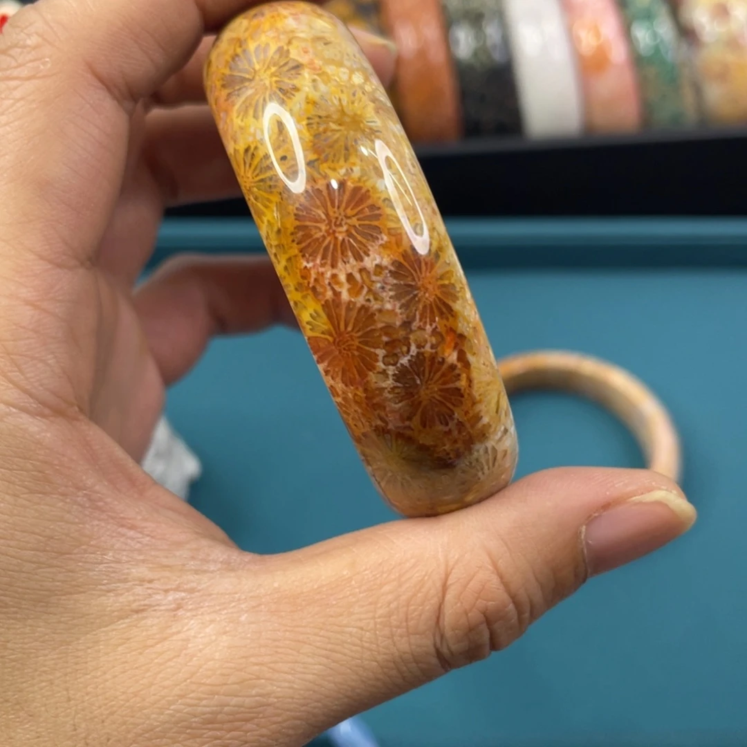 未镶嵌手镯硅化玉
