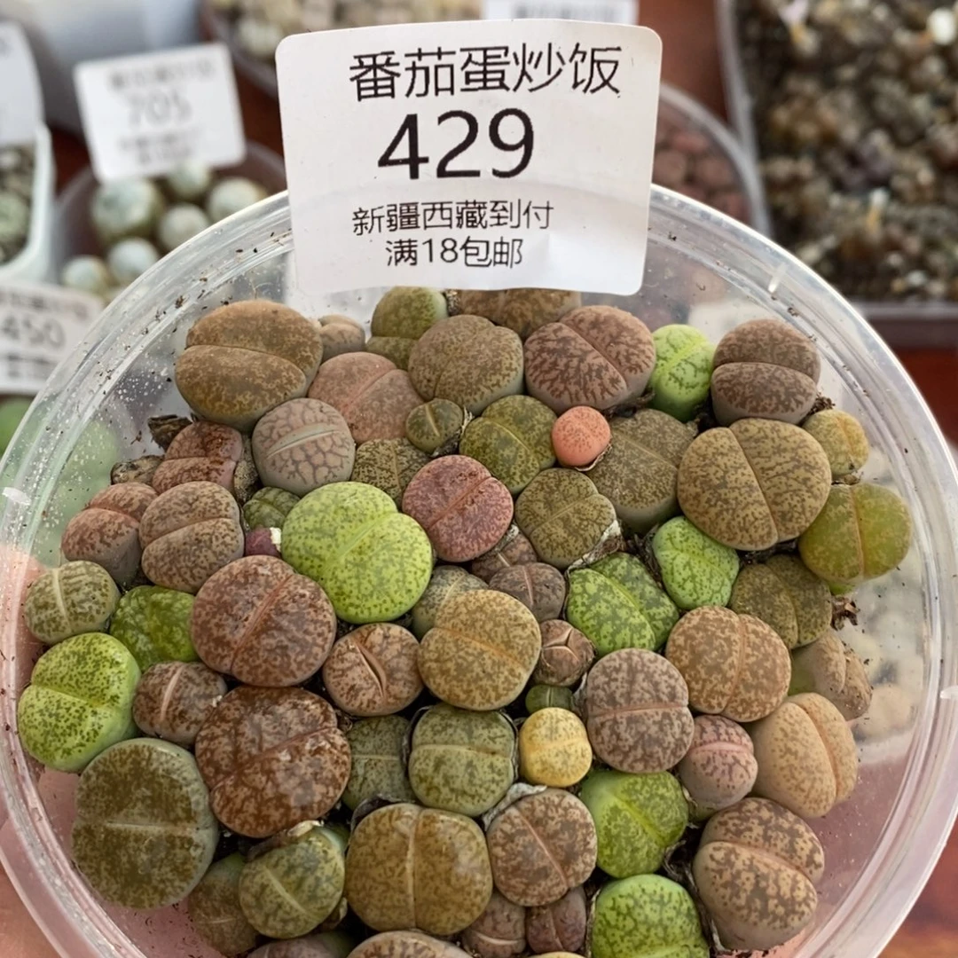 感谢您的支持，00429