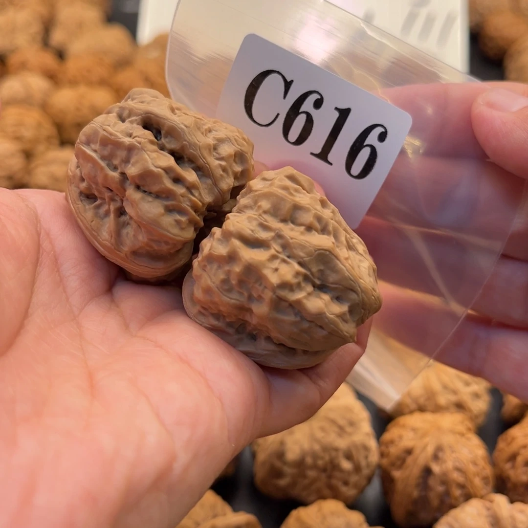 时***转把件桃核蛙蛙福利39