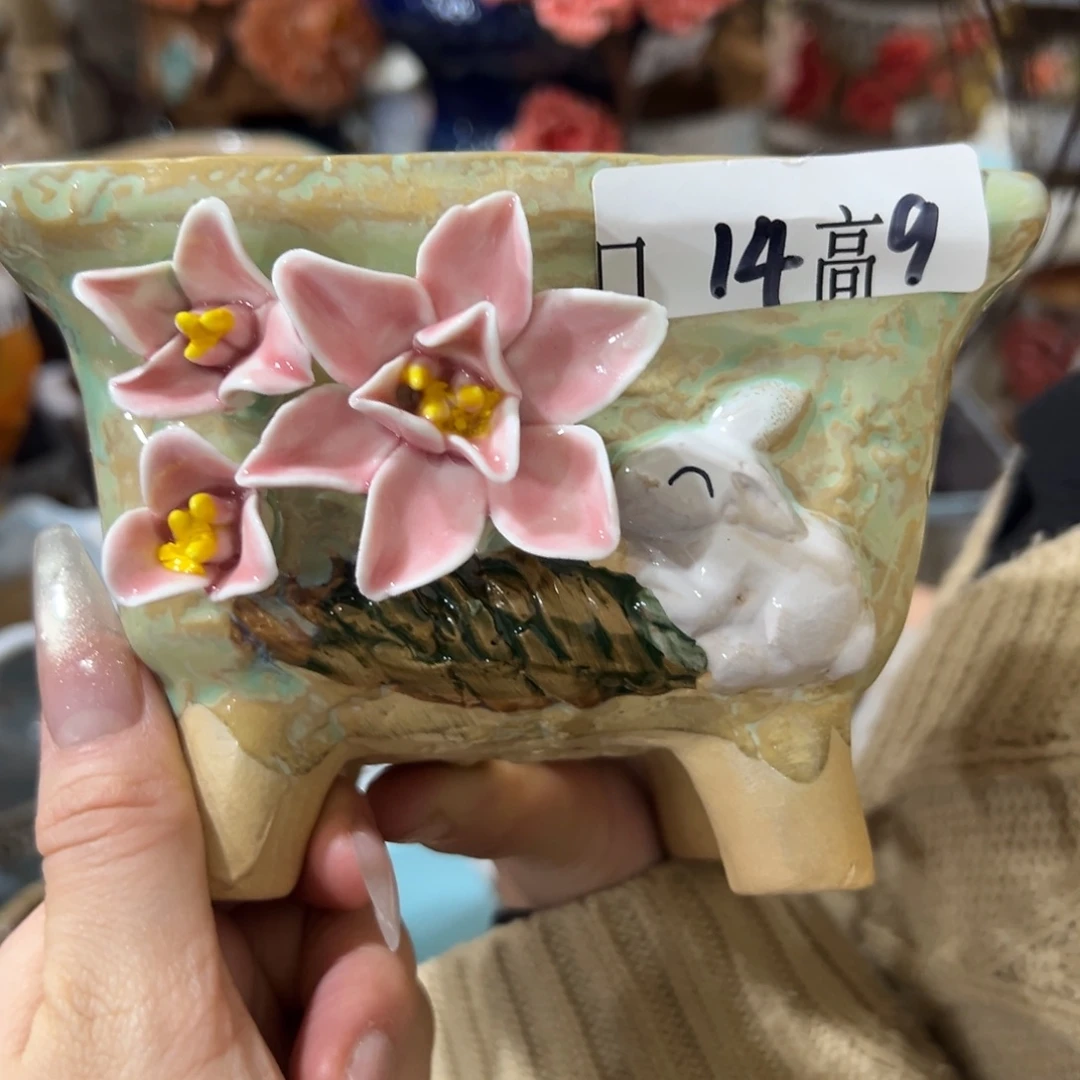 满20发多肉花盆爱退拉黑