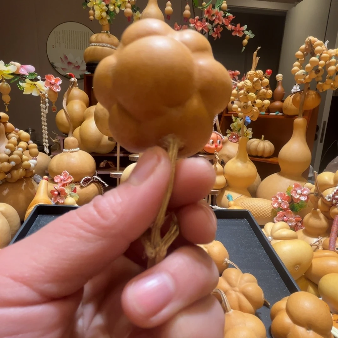 ꩜***壳太阳花葫芦好看的