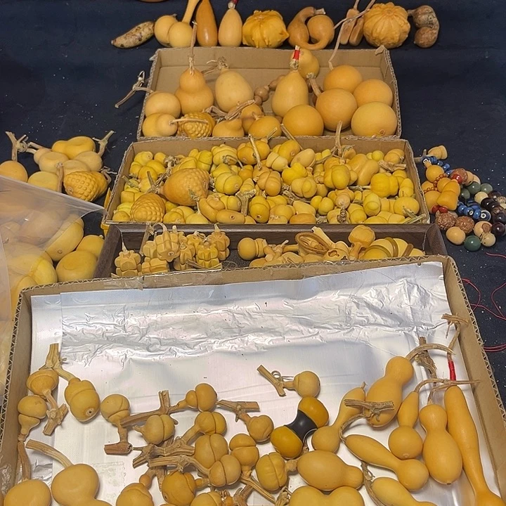 和***寂葫芦新人奖等多项大奖获得