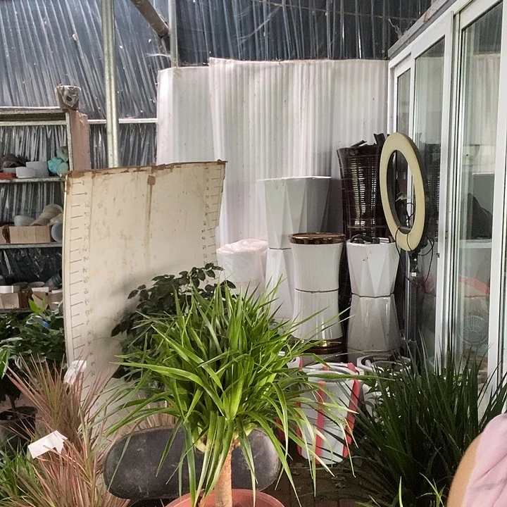 完全开放处理多头龙须16的