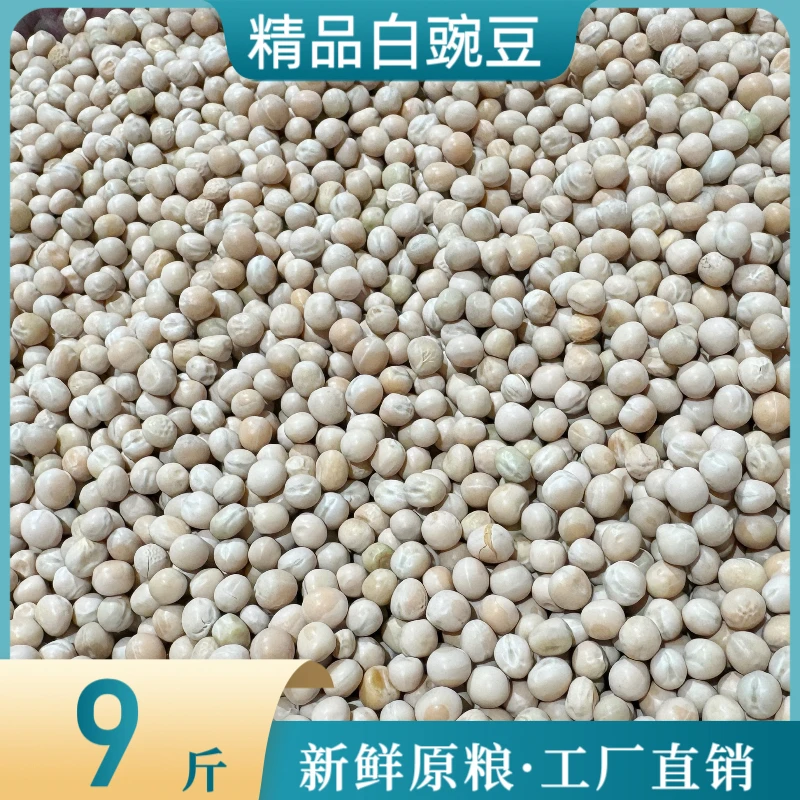 干豌豆9斤鸽粮饲料鸽子食颗粒饱满可煮粥煲汤做重庆小面配料发芽