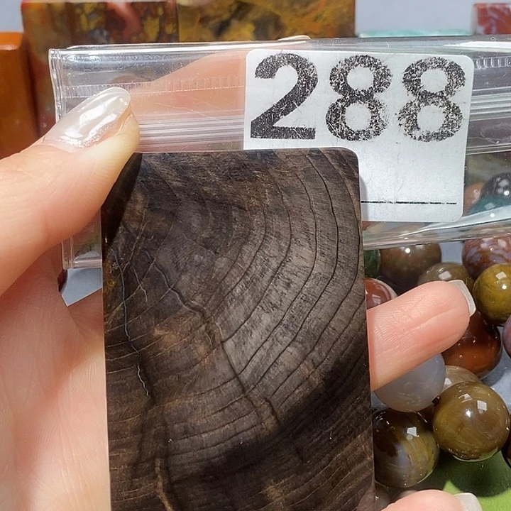 硅化玉未镶嵌天然北票树化玉吊坠