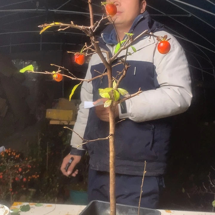 情***怀无花朵我们的目标是