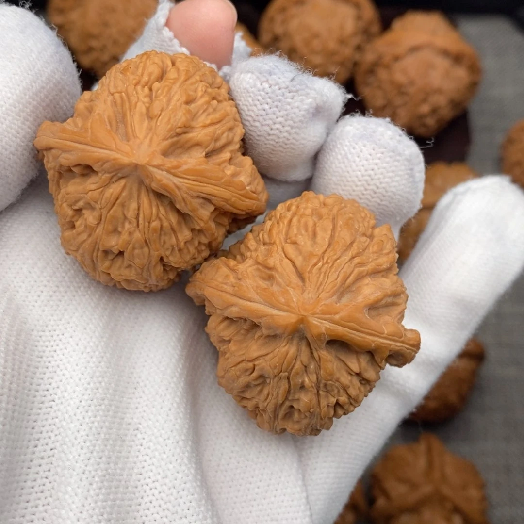 文玩核桃把件39老树炮弹南疆