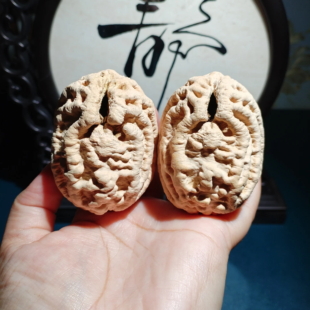 精品野生鬼脸乾坤核桃混世大魔王