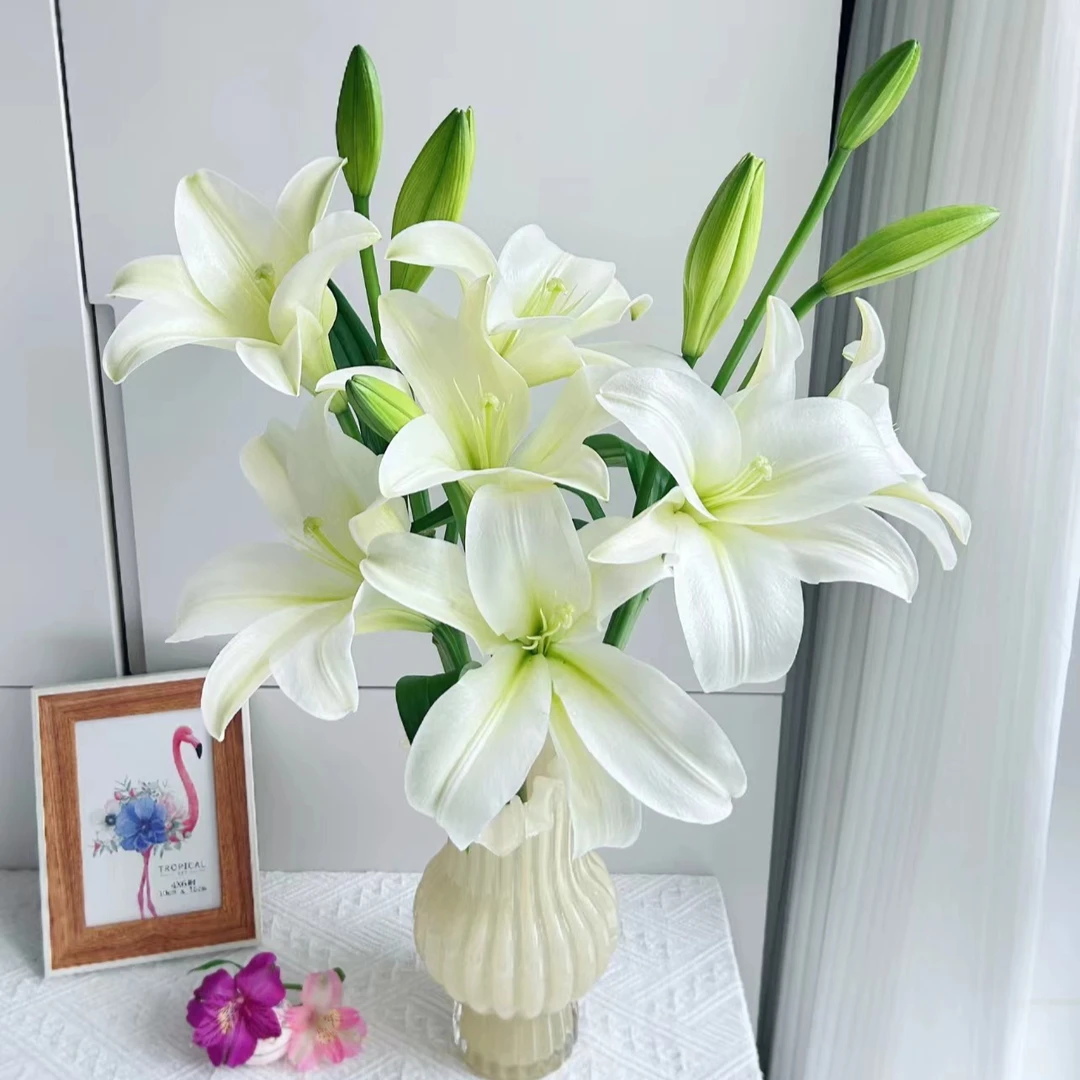 【白铁炮】精选白铁炮百合家居摆放插花云南鲜花优质鲜切花