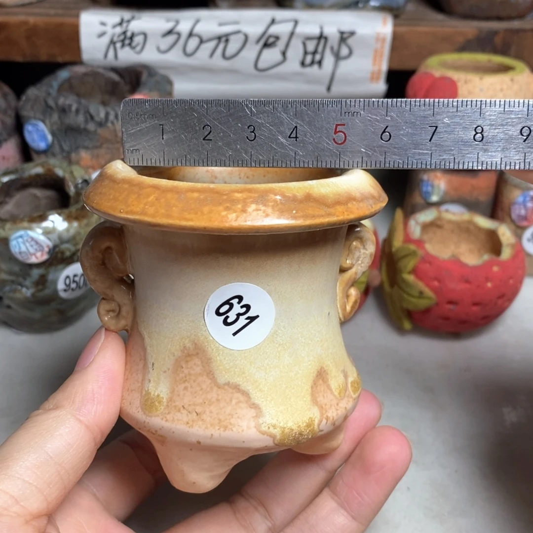 拍5送一个小礼物
