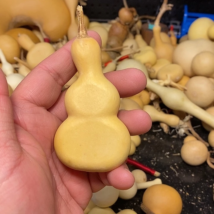 ?*哥精品葫芦手把葫芦34