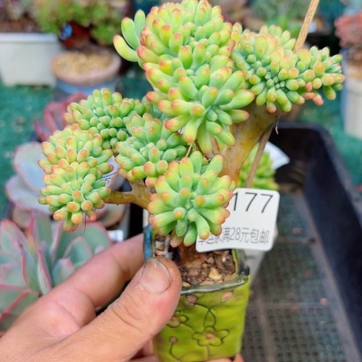幸运的是我还没遇到