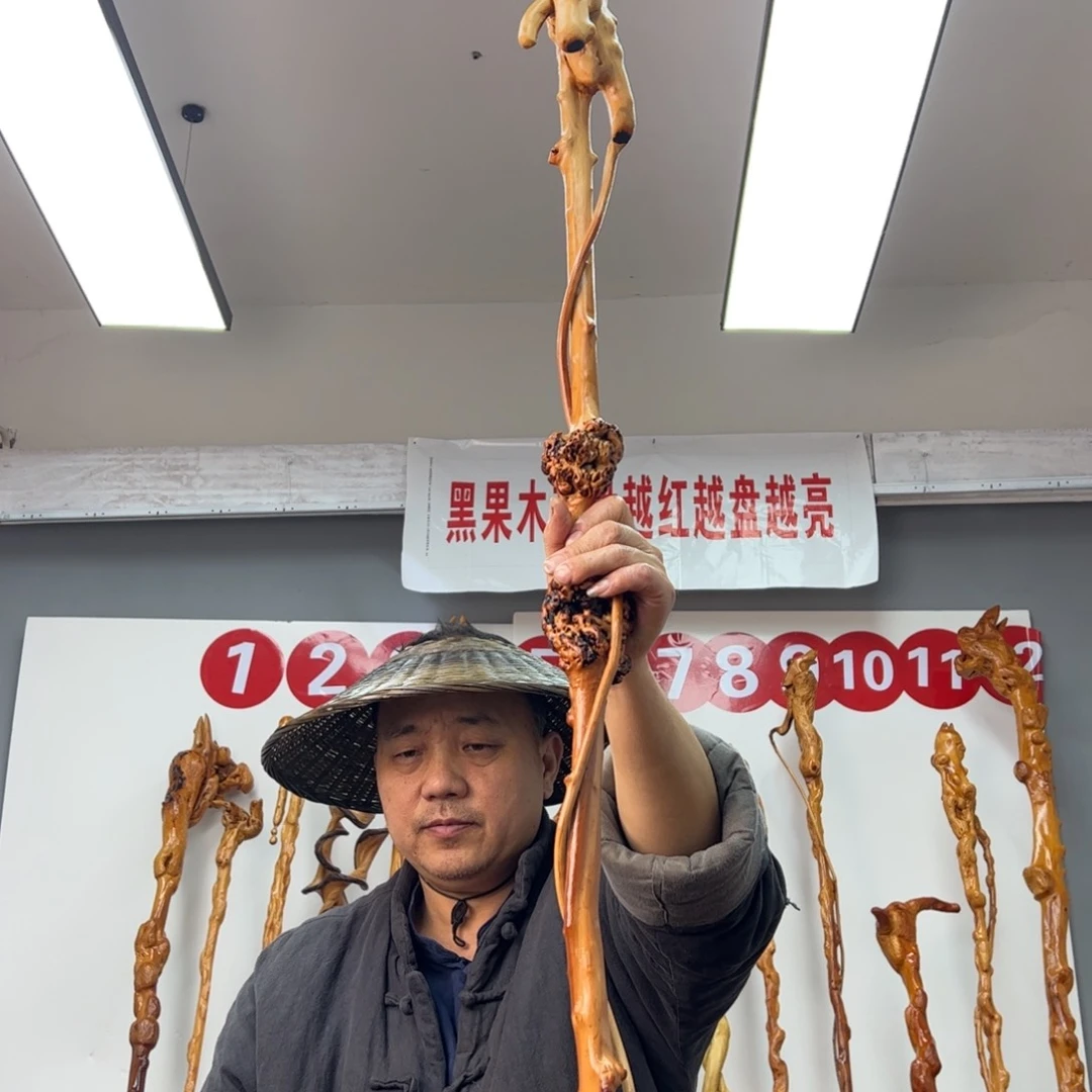 黑果木其他陈*超黑果木253