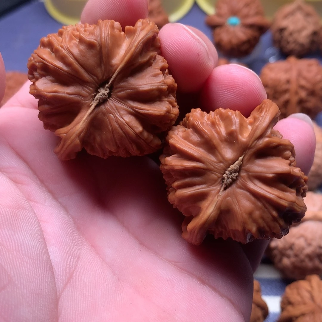 布****文玩核桃把件核桃