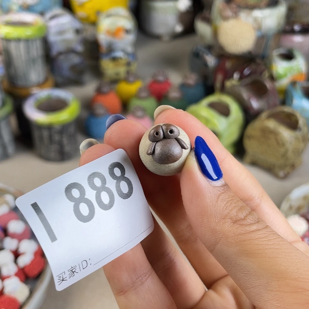 软***糖哈哈哈哈哈哈哈哈哈哈哈哈哈