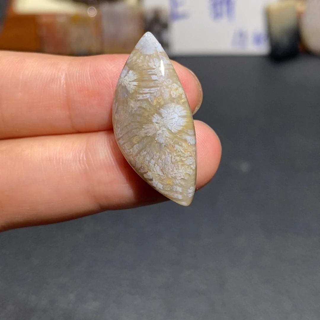 【闪购商品】未镶嵌珊瑚玉硅化玉