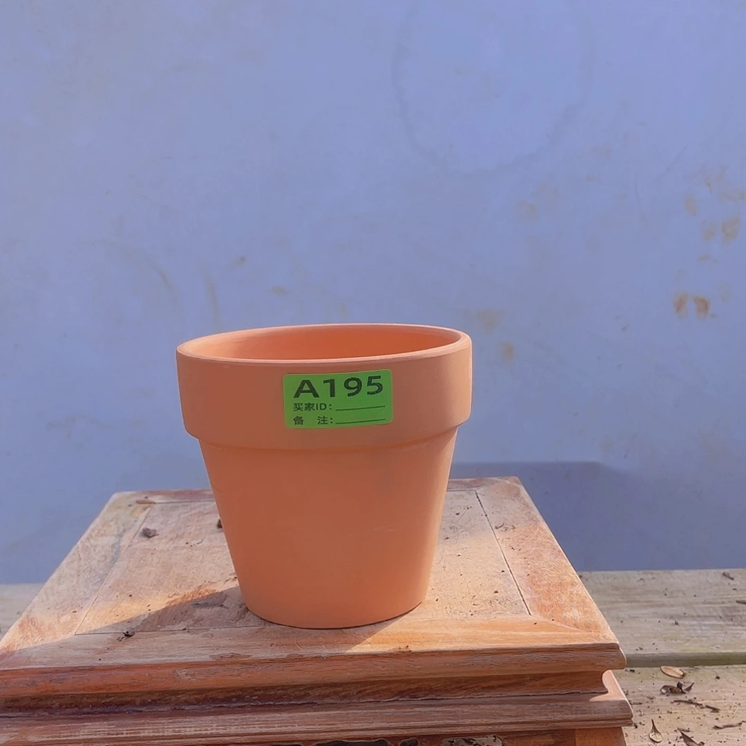 红陶直播时间一直一个