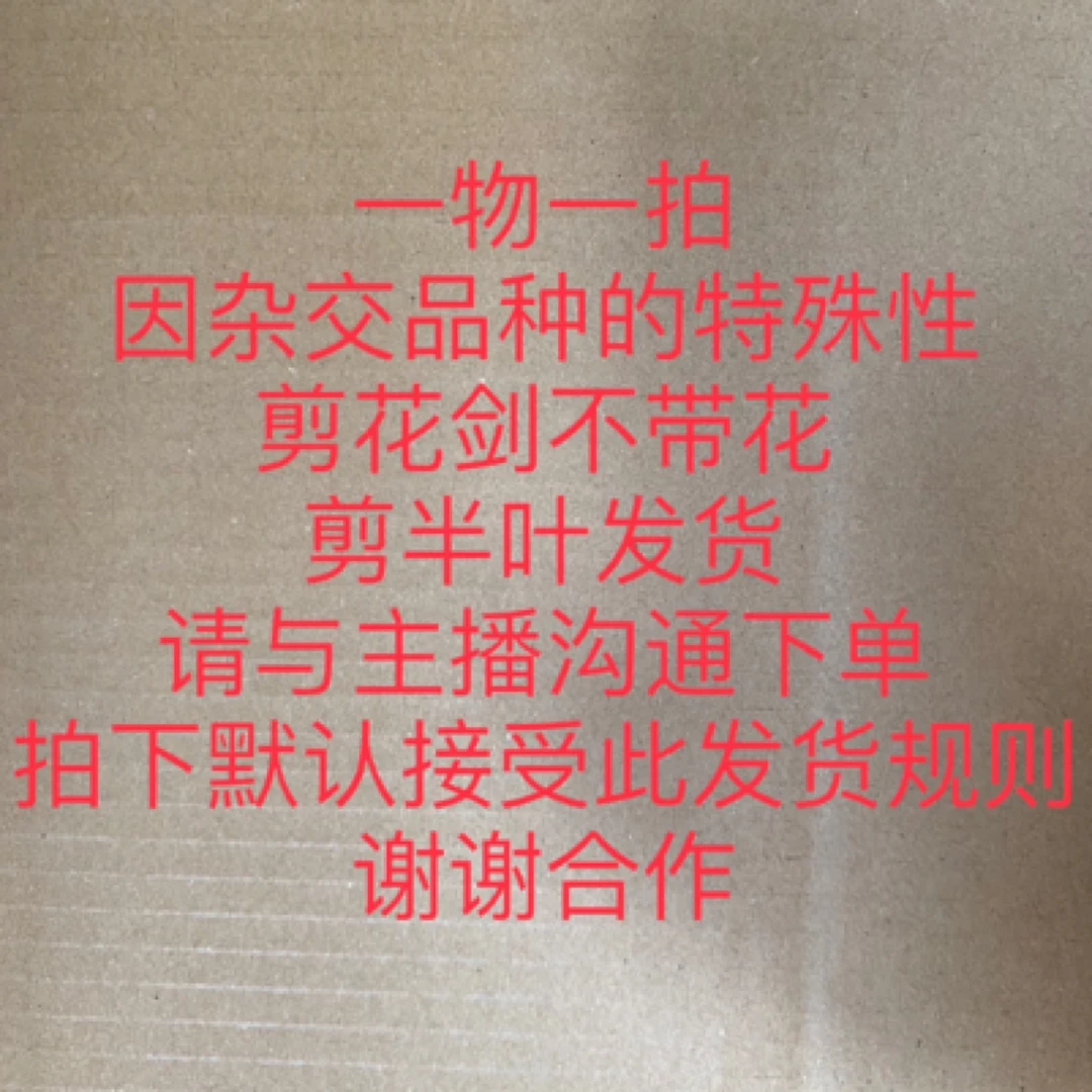 爱优辣椒姐700一799