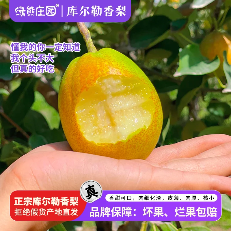 【新疆直供】正宗新疆库尔勒香梨新鲜应季水果香甜皮薄核小汁水足