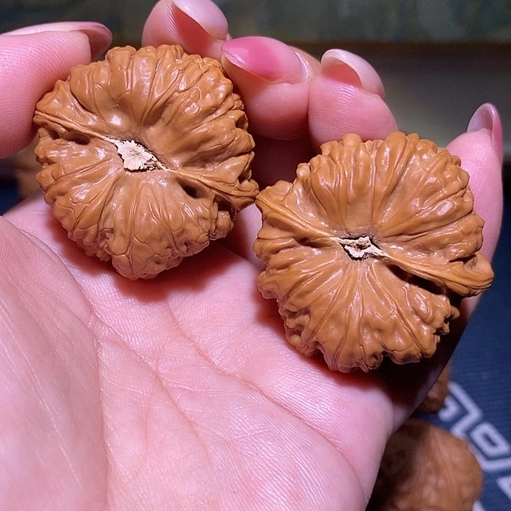 文玩核桃把件40金蟾凹底